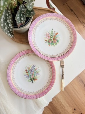 2 antike Speiseteller Royal Worcester rosa Schmuckrand bemalt Blumen
