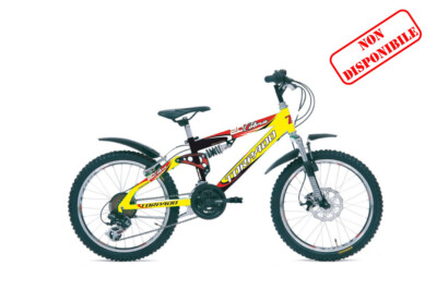 Bici bambino FULL 20\