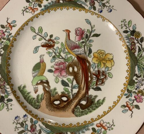 Piatto da pranzo fagiano asiatico antico Copeland Spode 8,75"" Waring & Gillow - Foto 3 di 18