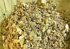 Jujube Lotus California Poppy Mullein Cinquefoil Passionflower Catnip -No.36 Mix
