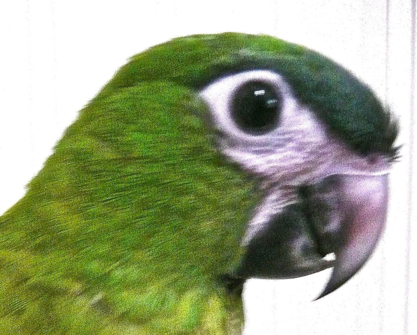 Picture 10 of 12