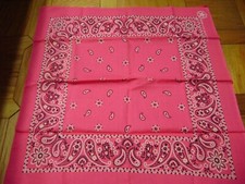 PINK PAISLEY BANDANNA
