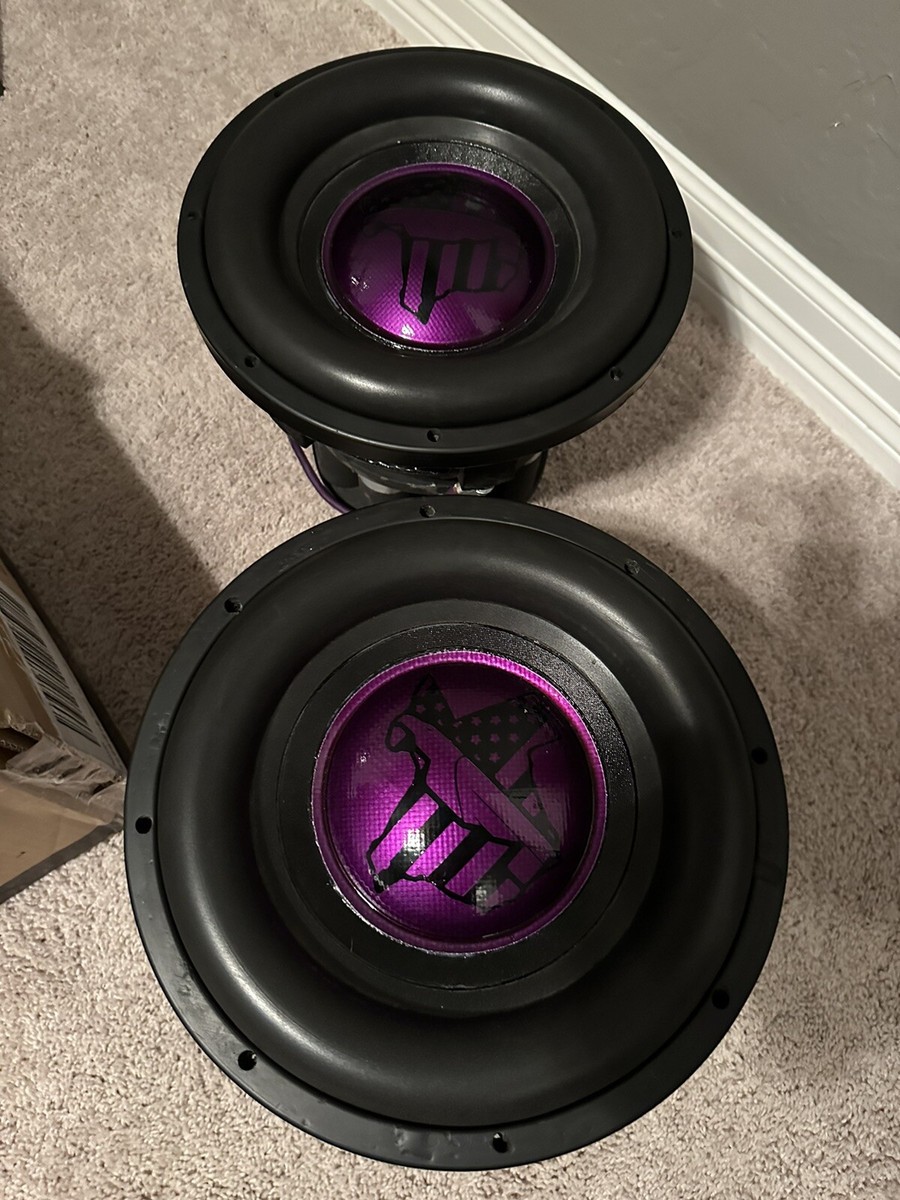 FI Audio Neo 3.9 12 In Subwoofer! Insane SPL/Sound Quality. 75lbs