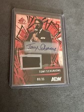 2025 upper deck game used Tony Schiavone autograph /35