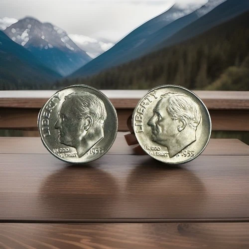 Silver Lot Of 2 Roosevelt Dimes 1955 D&S Uncirculated BU #RD 1955 D&S BU