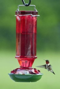 Audubon Woodlink Vintage Glass Hummingbird Feeder Red 16 Oz For