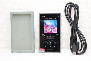 Sony Nw-A105 | eBay
