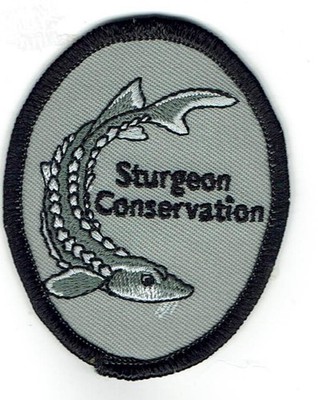 Girl Boy Cub STURGEON CONSERVATION Fun Patches Crests Badges SCOUT GUIDE Release
