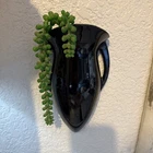 Roseville Rosecraft Colors 1920 Vintage Art Pottery Black Wall Pocket 1237-10