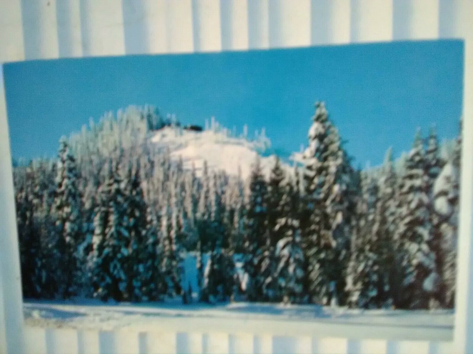 Picture 7 of 12
