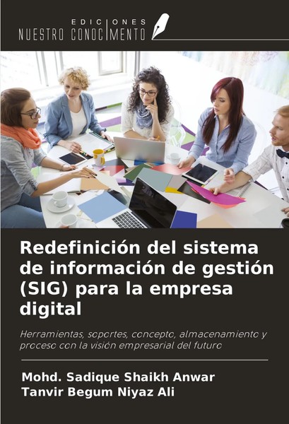 RedefinicióN Del Sistema De InformacióN De GestióN (Sig) Para La Empresa Digital-image