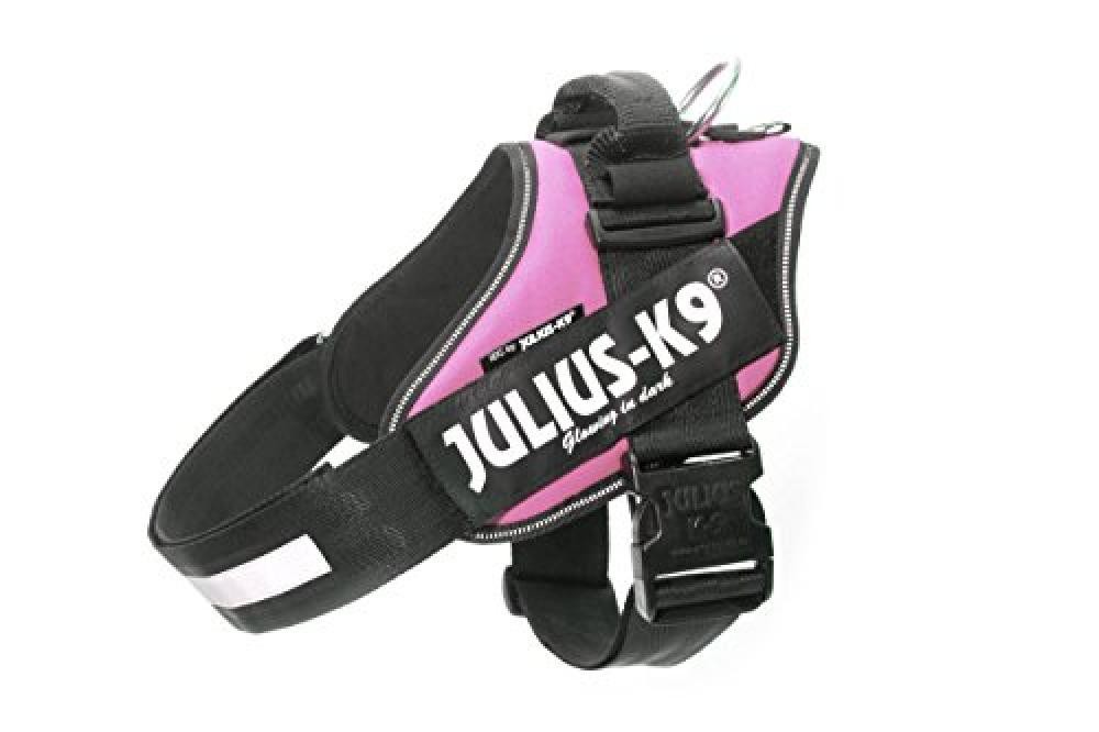 Pettorina Rosa Julius K-9 IDC Tg 1 | Stile e Sicurezza Urbana