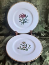Set Of 2  Royal Worcester Plates Bone China Hand Painted Daisy  Pink Flower