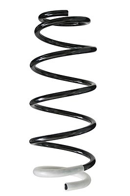 Spidan Fahrwerksfeder Hinterachse U.A. FüR Nissan, Suzuki-image