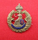 WW1 Enamelled "The Norfolk Regiment" Sweetheart Brooch - King's Crown