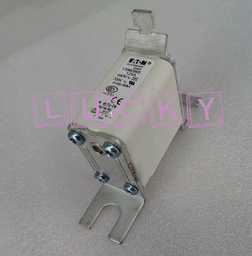 3 PIEZAS Nuevo PARA BUSSMANN 170M2665 125A 690V Fusible Repuesto - Imagen 1 de 1