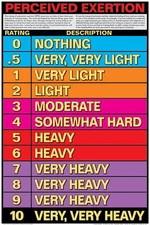 Fitness Workout RATING OF PERCEIVED EXERTION SCALE Gym Wall Chart 24x36 POSTER