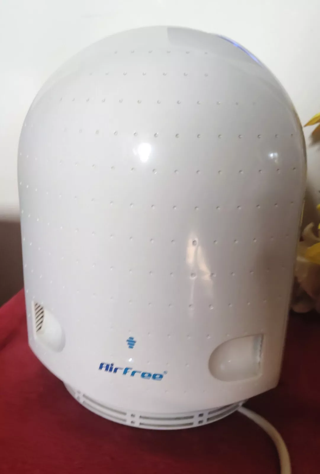 Foto 1 di 5