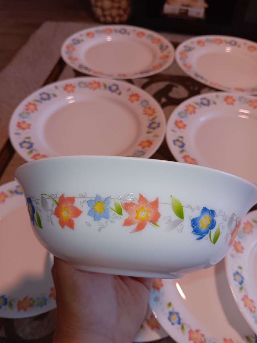 Vintage Arcopal France Spain Flower Dinnerware Service For
