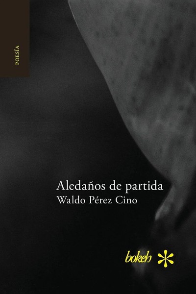 Waldo PéRez Cino | AledañOs De Partida | Taschenbuch | Spanisch (2015) | Bokeh-image