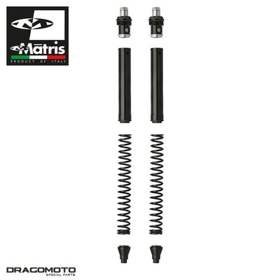Gabel Kit Honda CB 500 X (PC59) 2016-2018 Matris FH245KE vorne