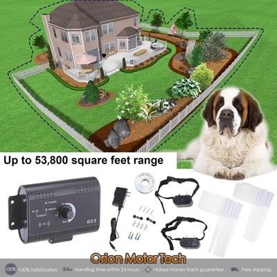 shock collar and fence