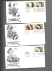 Scott 2501-05 Indian Headdress First day stamps on 3 cvrs; Art craft cachets