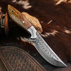 8.9" inch Damascus Steel Hunting Knife Full Tang Resin Handle Leather Sheath — photo 6