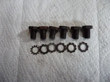 1981-1986 C10 305/350 CHEVY PICKUP OEM FLEXPLATE BOLTS & WASHERS