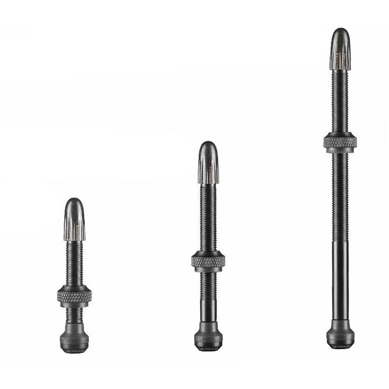 Schwalbe Fahrradschlauch Tubeless-Ventil TL-Valve 40 mm Silber 5x3x3cm Single 6890₽