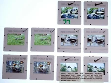 5 Charley Van Pelt Stereo slide pairs Animals of the World - 77