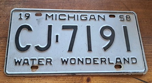 Vintage 1958 Michigan License Plate "Water Wonderland" See Photos