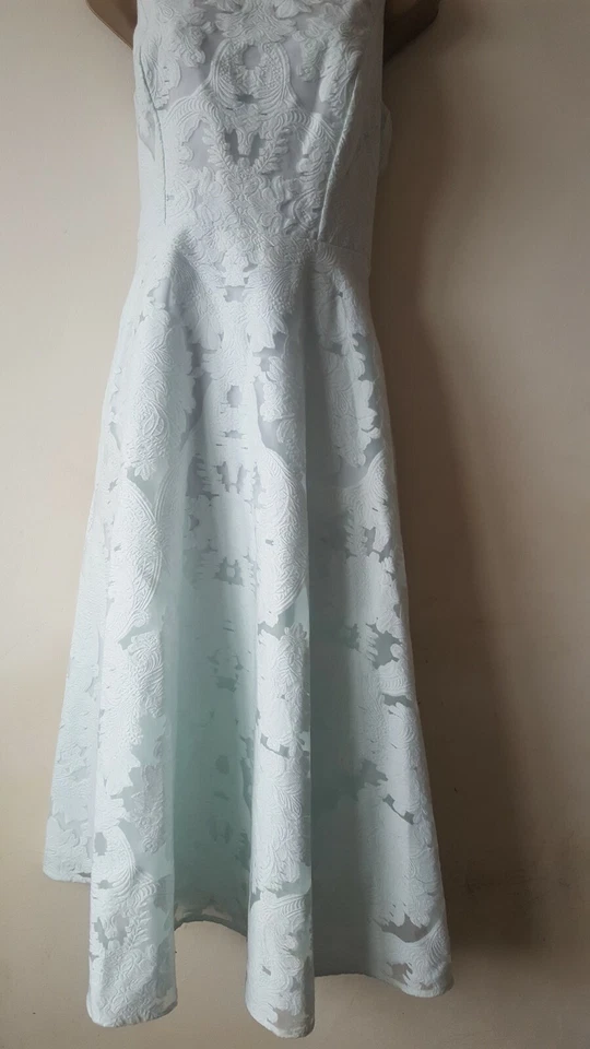 TED BAKER ✩ STUNNING ROSHI JACQUARD LACE BURNOUT DRESS 2/10 - Image 3 of 4