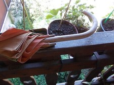    ART. 932 ANTIQUE WOMEN'S UMBRELLA WITH WOODEN HANDLE