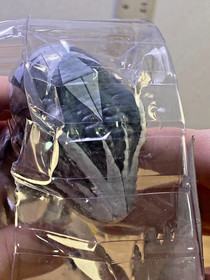 WowWee Fingerlings Untamed Velociraptor Dinosaur White 2017 -GDJ-A-920