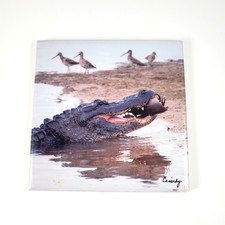 Alligator Eating a Horseshoe Crab with Shorebirds by Cassidy Tabletop Coaster