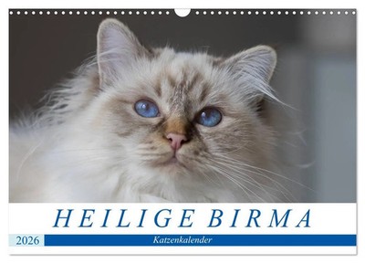 Heilige Birma Katzenkalender (Wandkalender 2026 DIN A3 quer), CALVENDO...