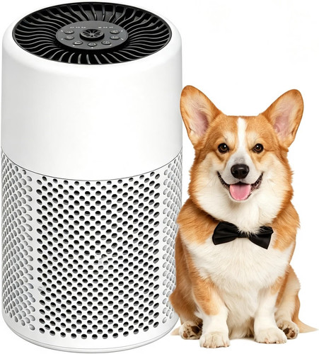 HEPA Air Purifier for Bedroom 24dB Quiet White 1Pack+3 Modes
