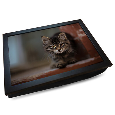 Deluxe gepolstertes Schoßtablett | Holzrahmen | intensiv umherstreifende Tabby Katze #IC
