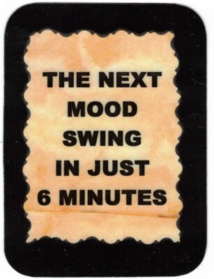 3267 Refrigerator Magnet Sign Funny Friendship Gift Next Mood Swing In Just 6