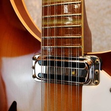 Rickenbacker 360/12V64 Used Electric Guitar 1980