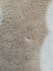 Bild 4 von 6