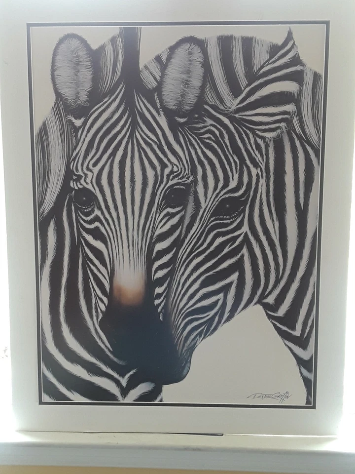 perfect 36x24 Print on Poster board "Zebra" Size 28X22 - Image 2 of 4