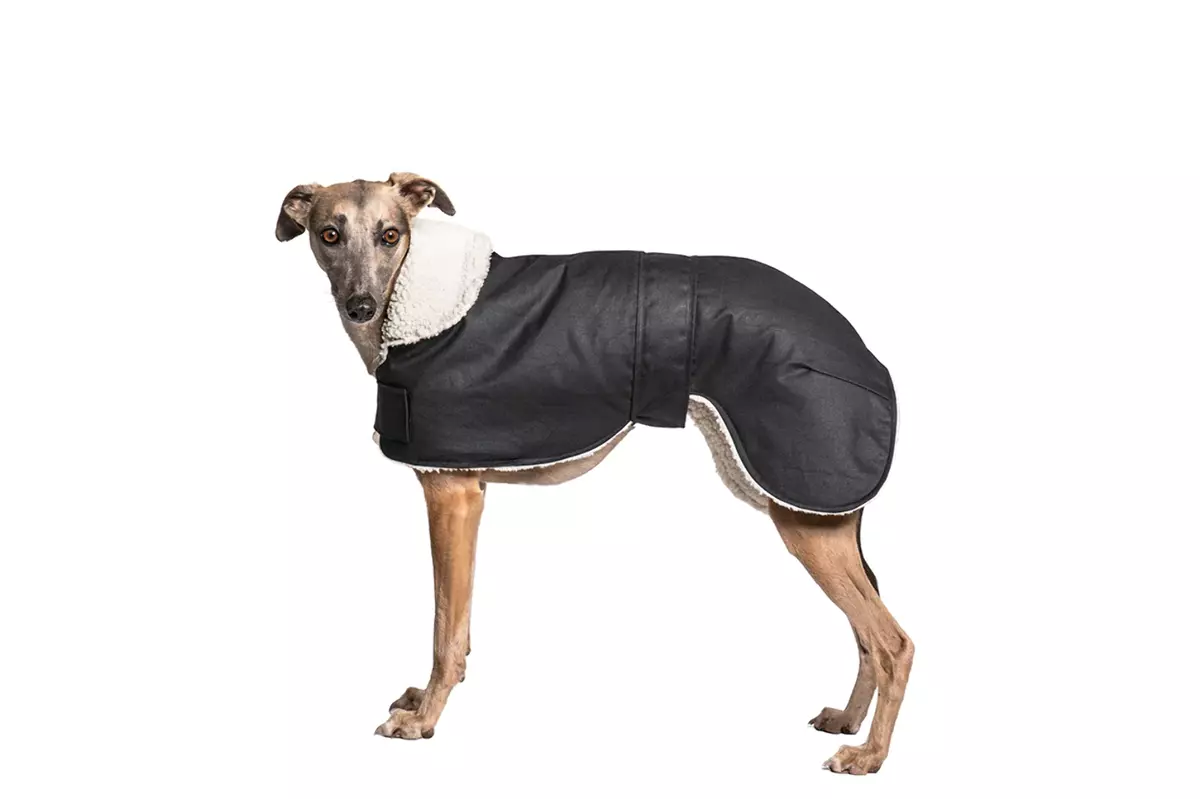 Waterproof lurcher coat top