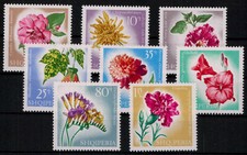 Albania; Kwiaty 1967 kpl. ** (10,-)