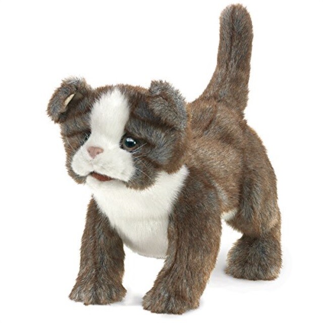 Folkmanis Scottish Fold Kitten Hand Puppet
