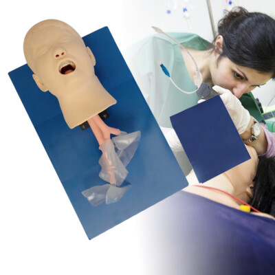 Study Pediatric Oral Nasal Intubation Manikin Study Teaching Model Training PVC
