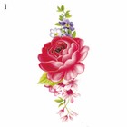 Bild 7 von 28