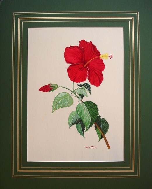 Vintage Watercolor, Clark, Laura, 20th C (Firefly Flower)