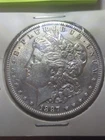 1887 Morgan Dollar   VAM-12A DDO Gator & Clash Error-DD01